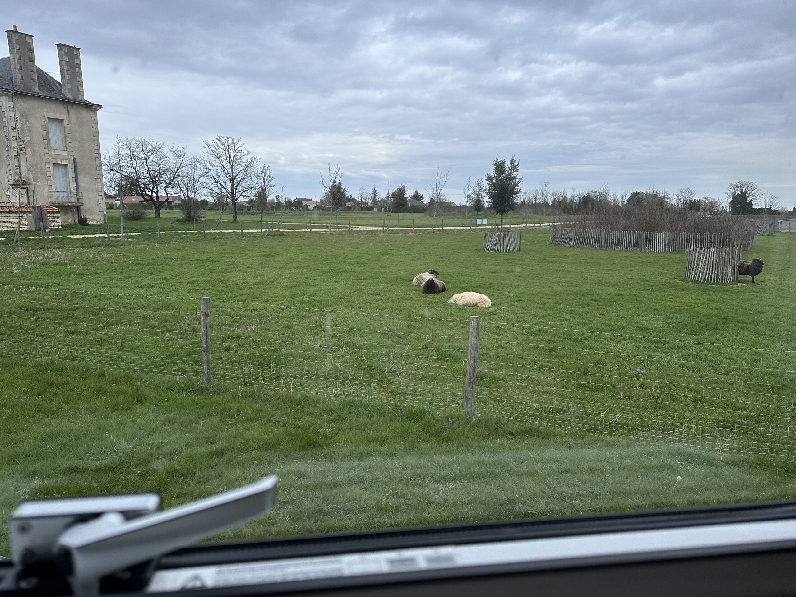 Sur le tapis du vent