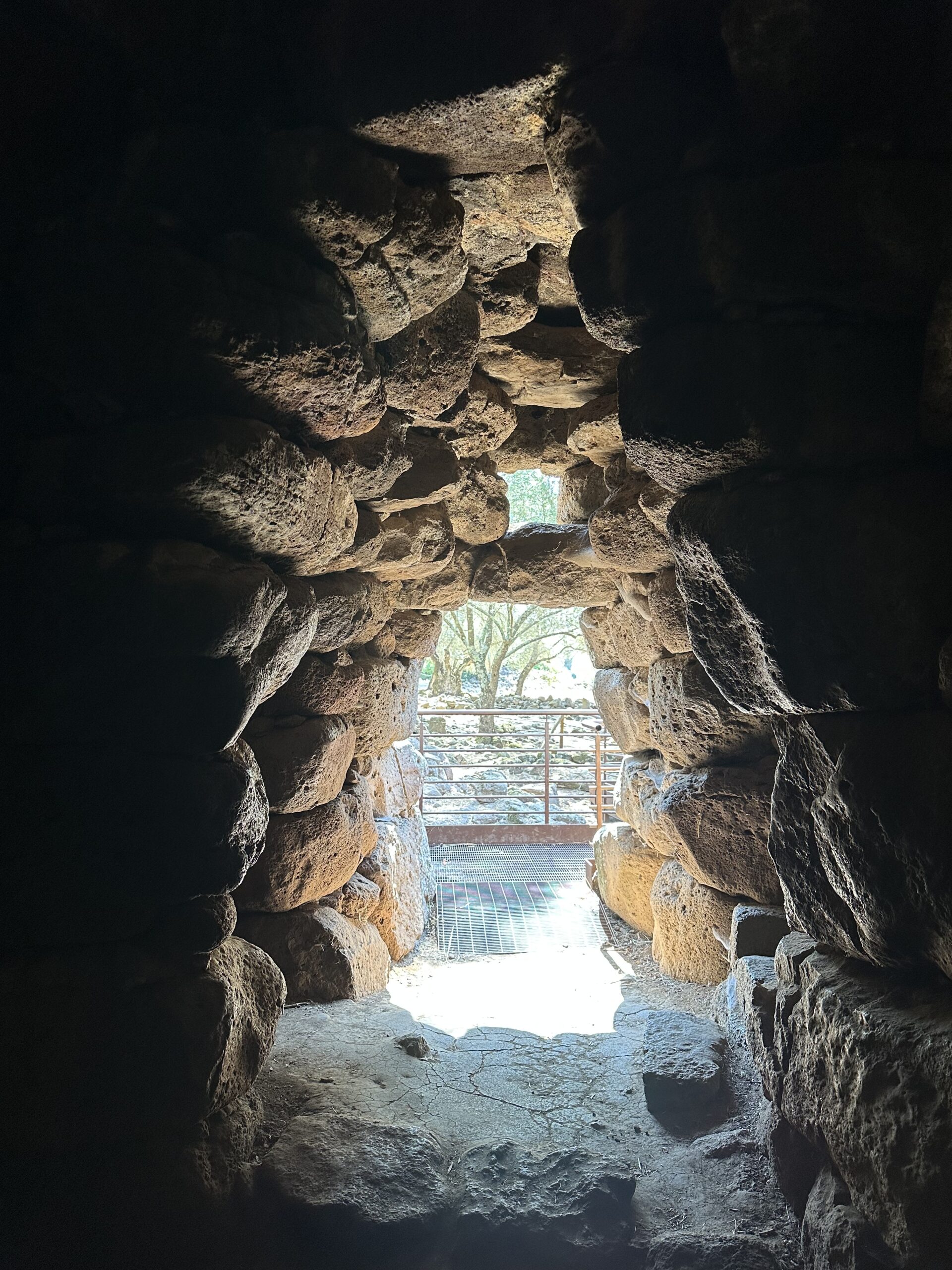 Sur le tapis du vent