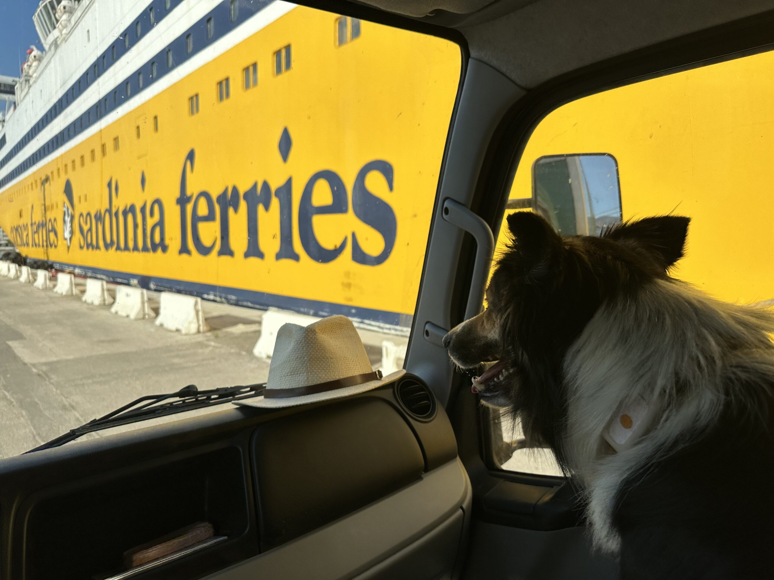 Sur le tapis du vent