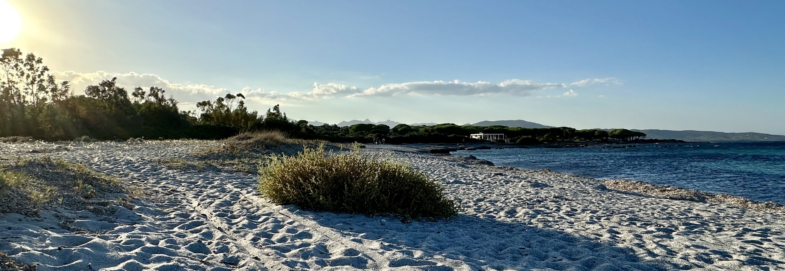 Sur le tapis du vent