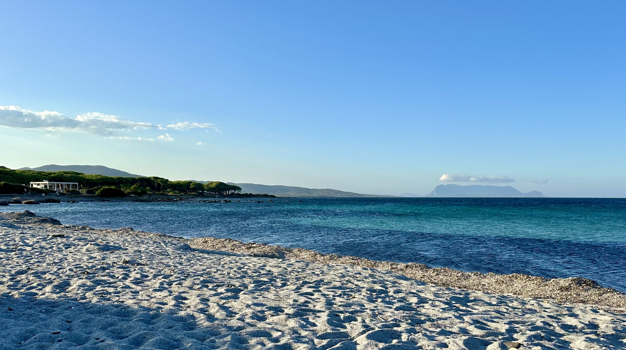 Sur le tapis du vent