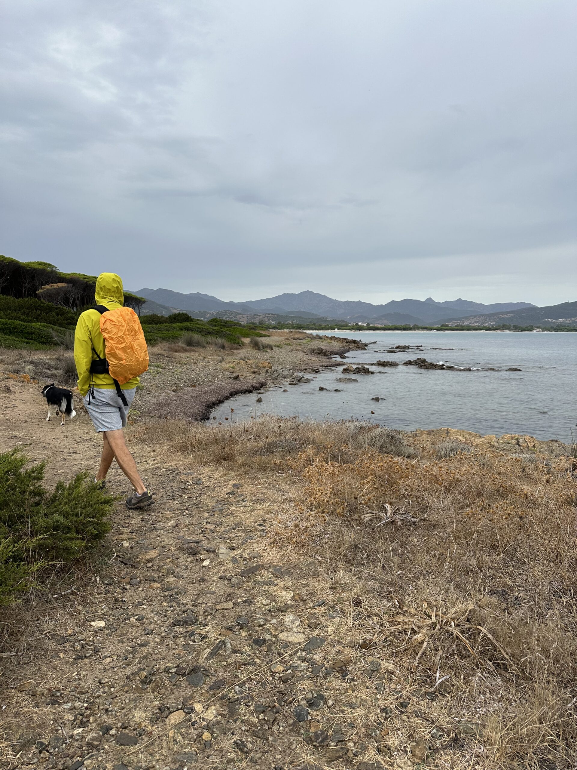 Sur le tapis du vent
