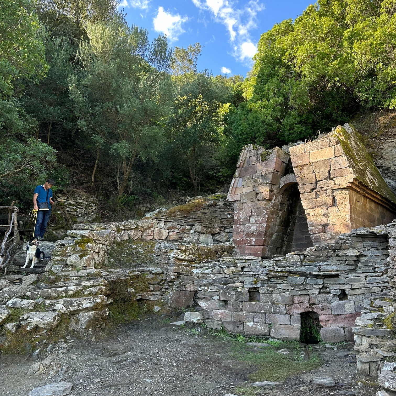 Sur le tapis du vent