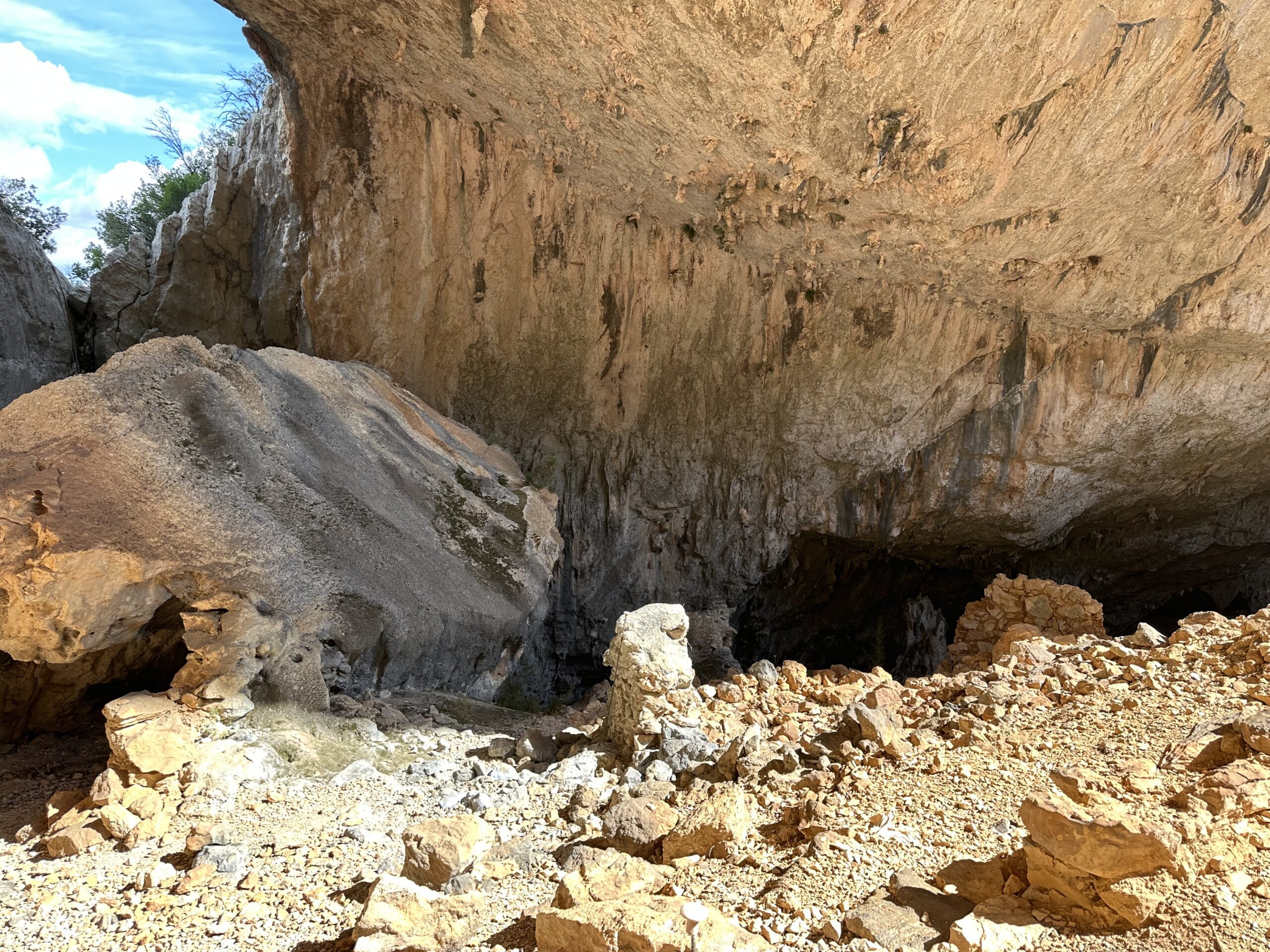 Sur le tapis du vent