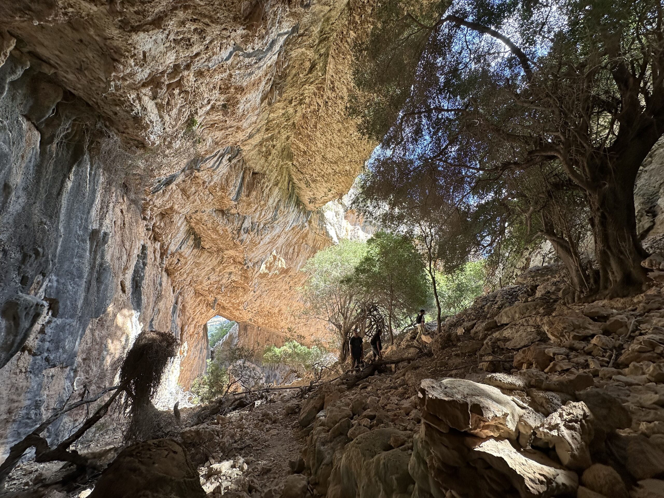 Sur le tapis du vent