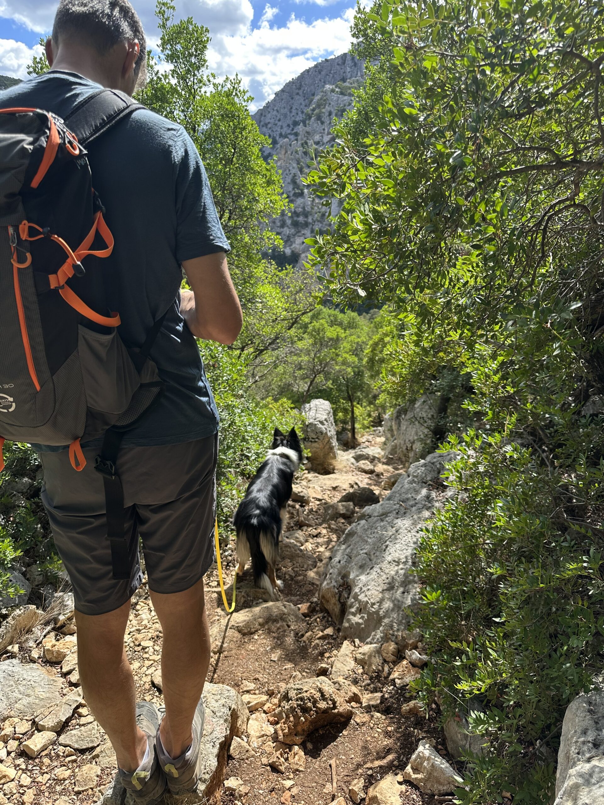 Sur le tapis du vent