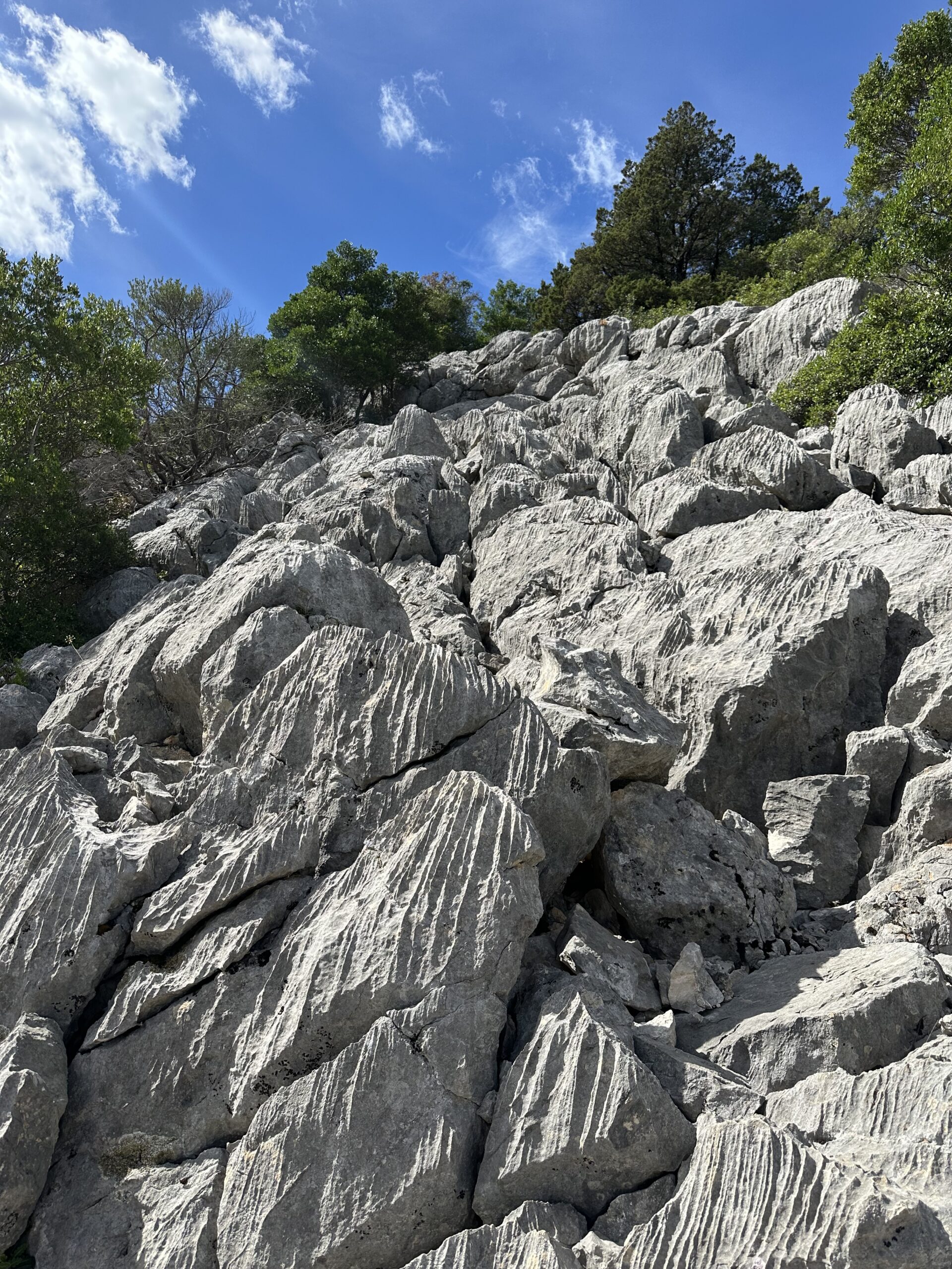 Sur le tapis du vent