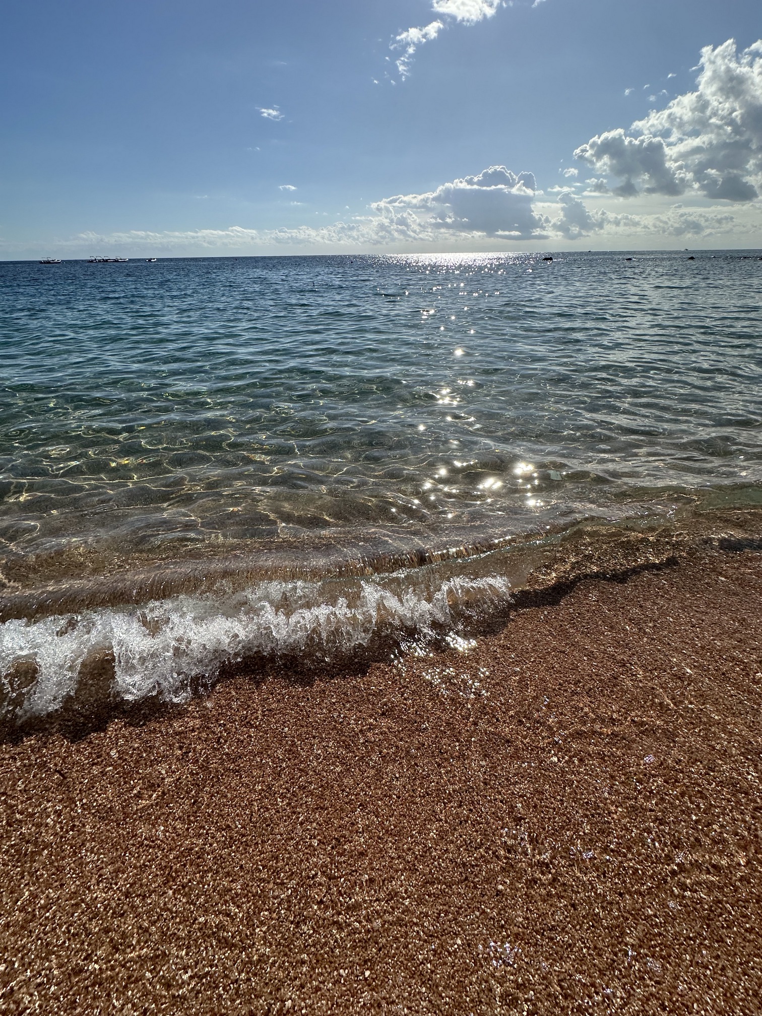 Sur le tapis du vent