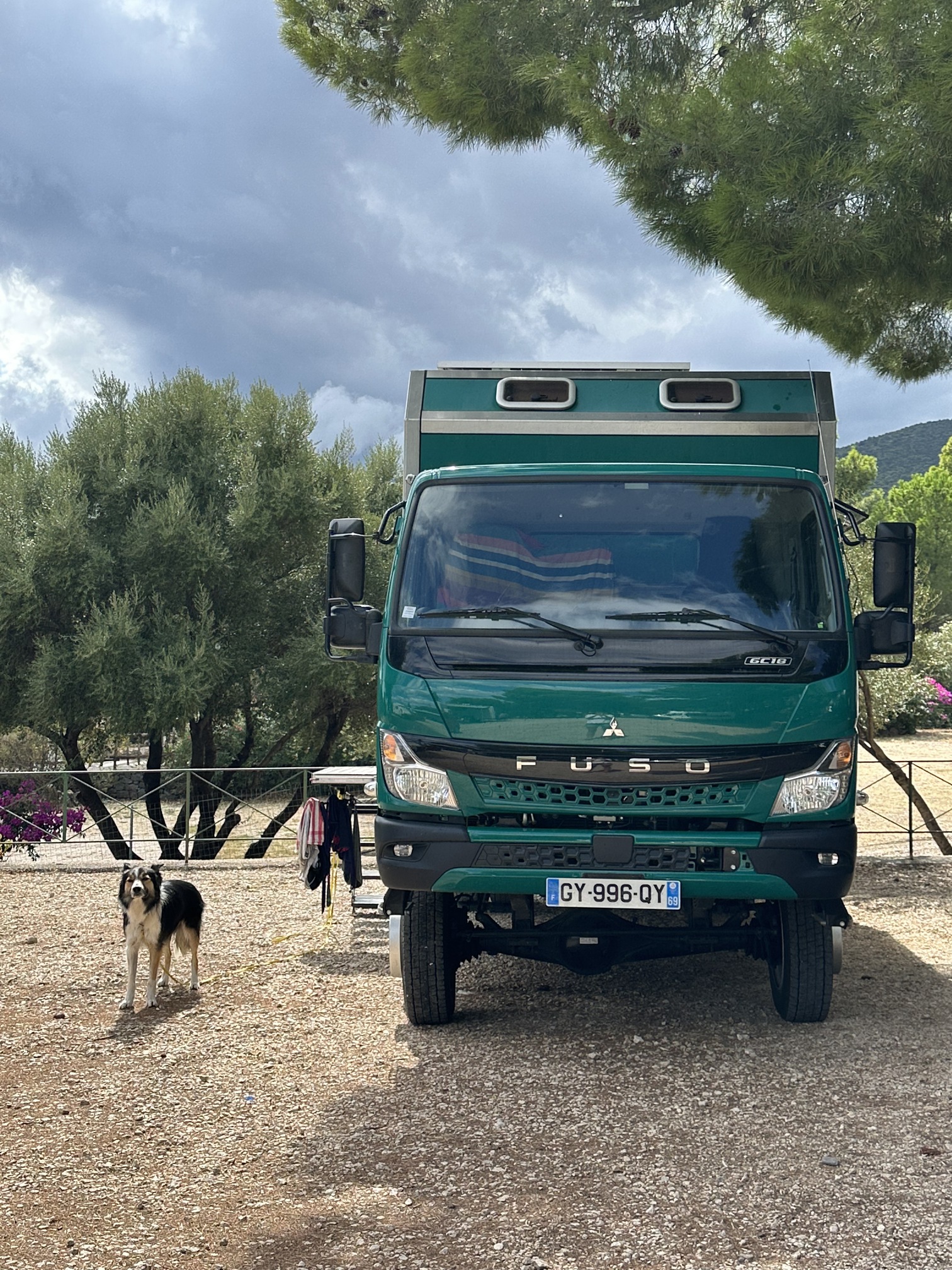 Sur le tapis du vent