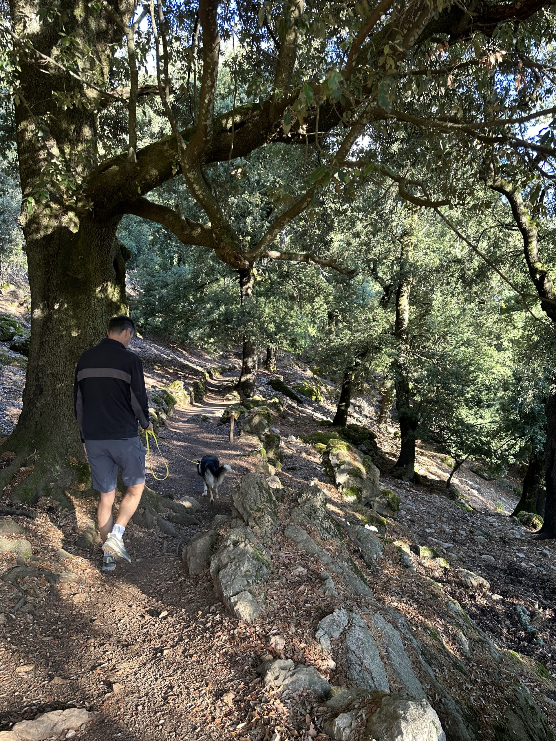 Sur le tapis du vent