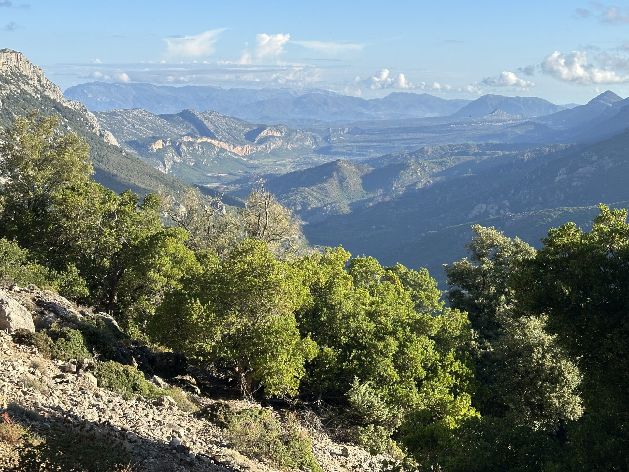 Sur le tapis du vent