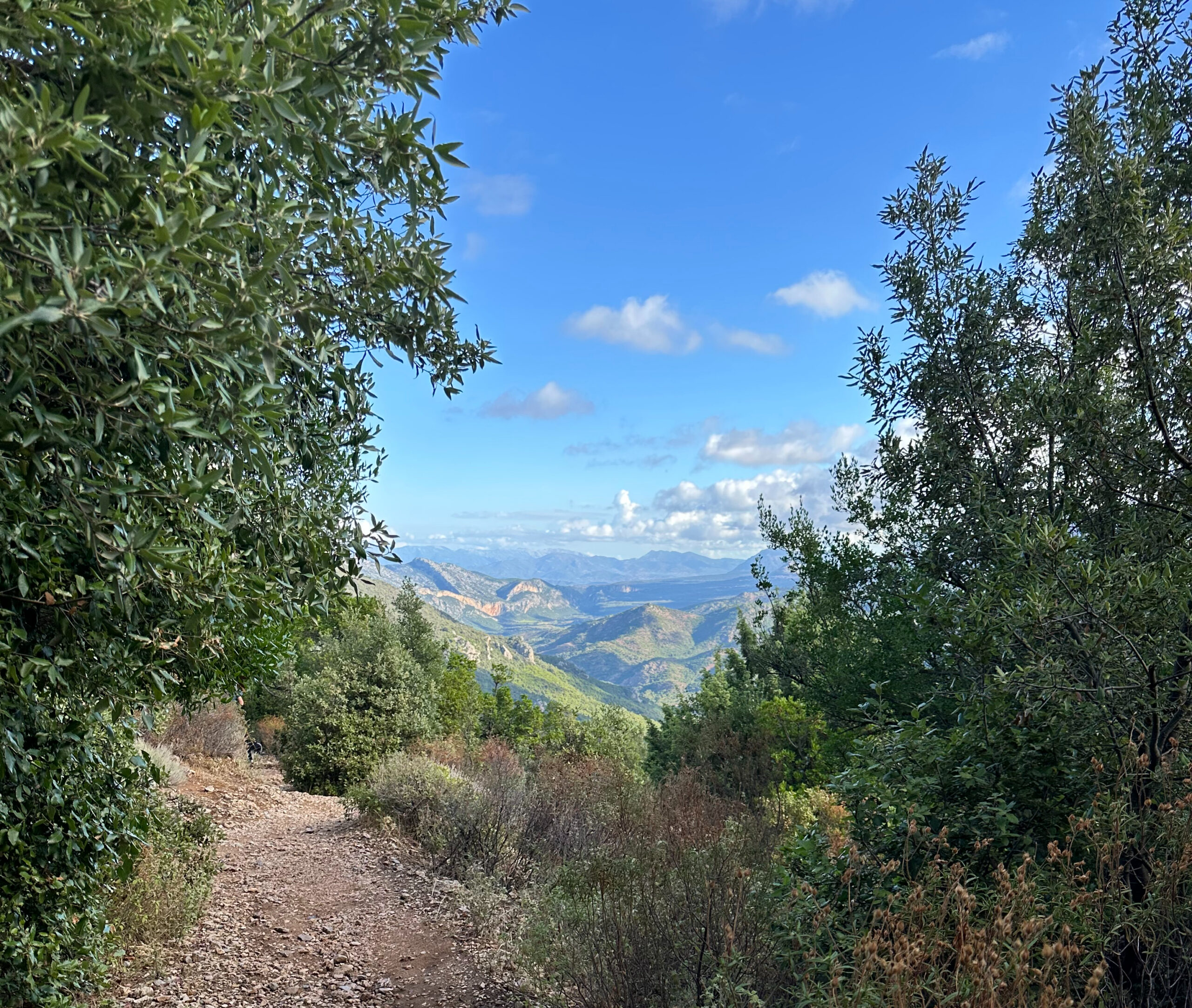 Sur le tapis du vent