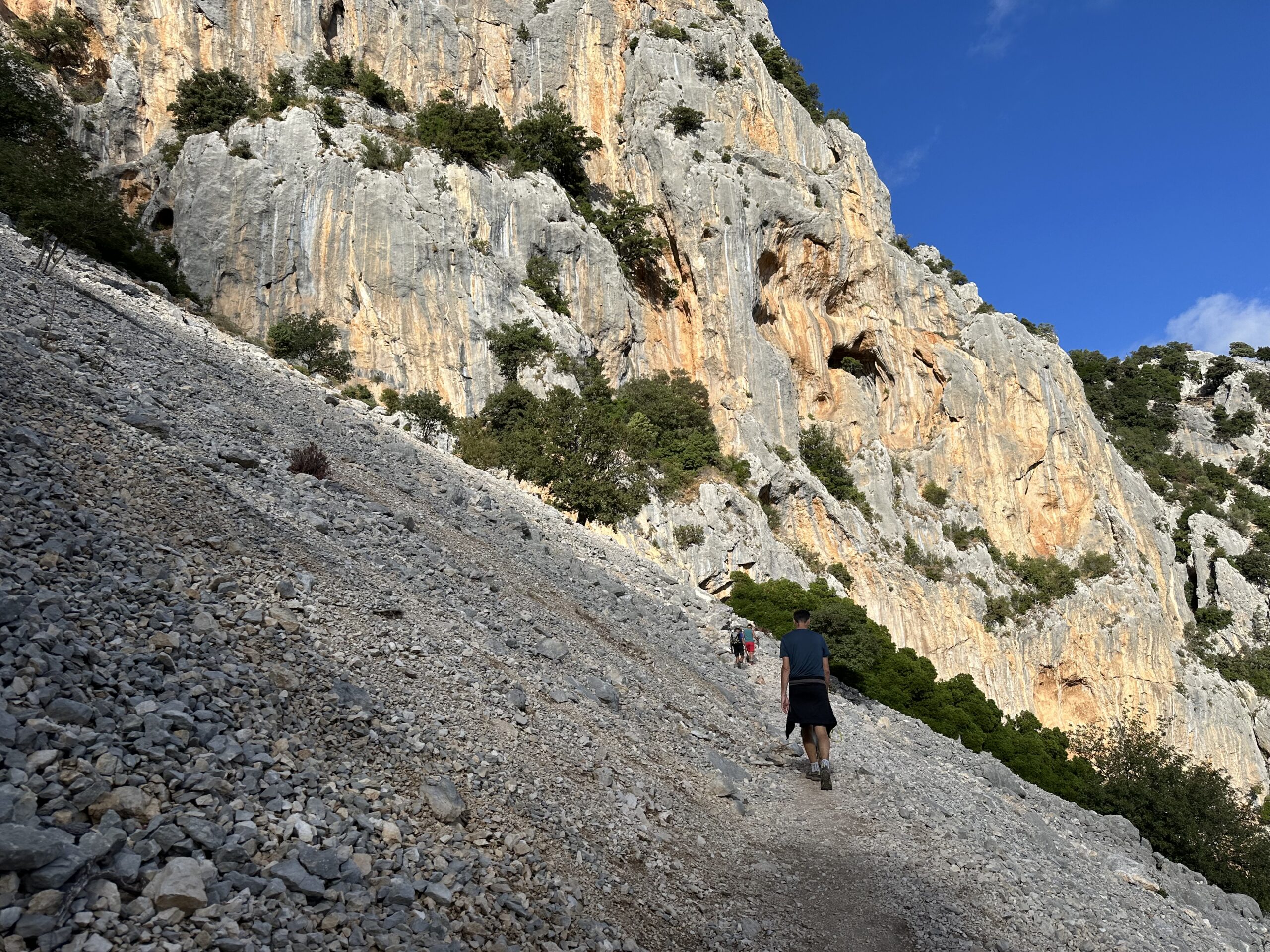 Sur le tapis du vent