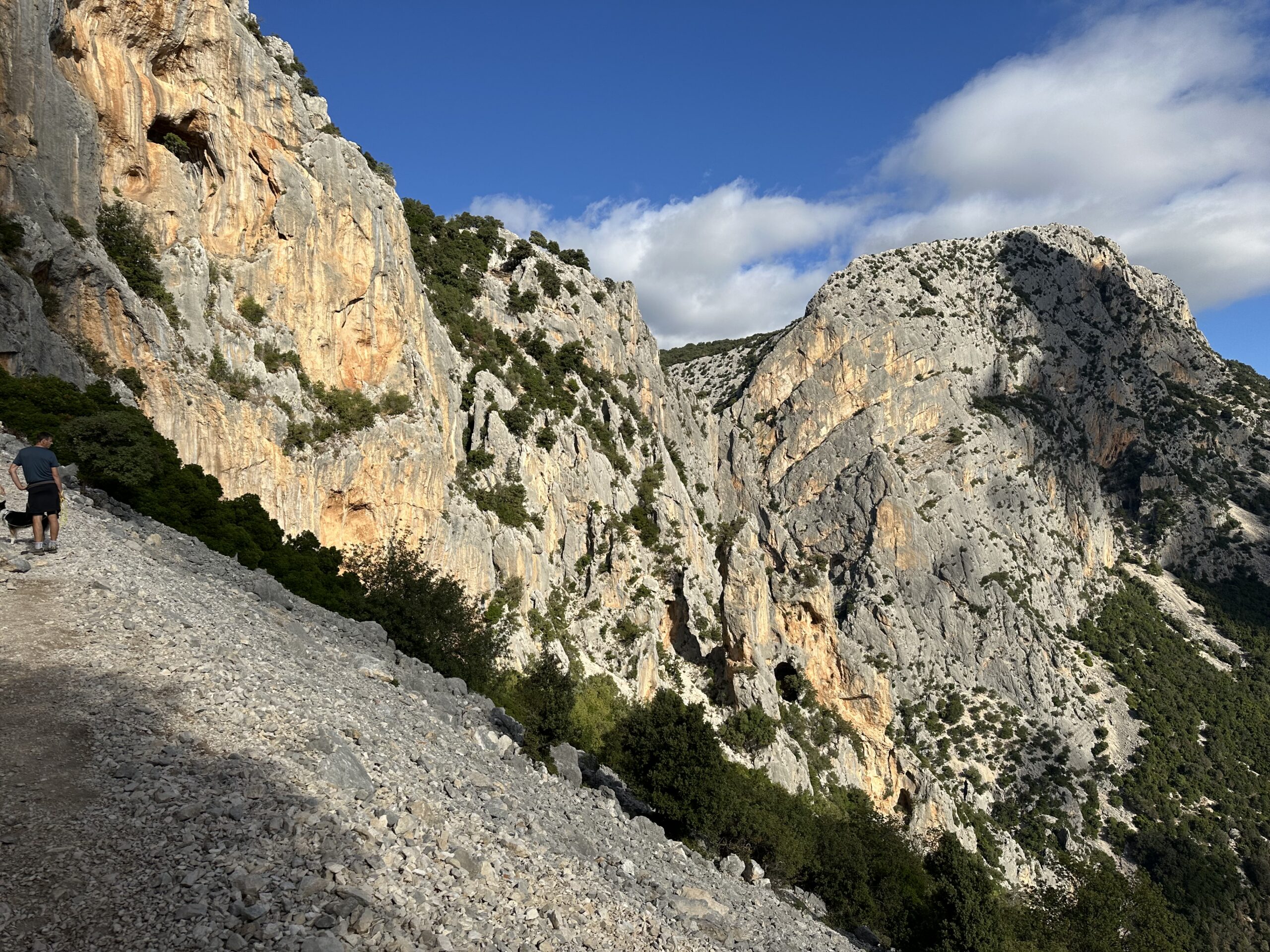 Sur le tapis du vent
