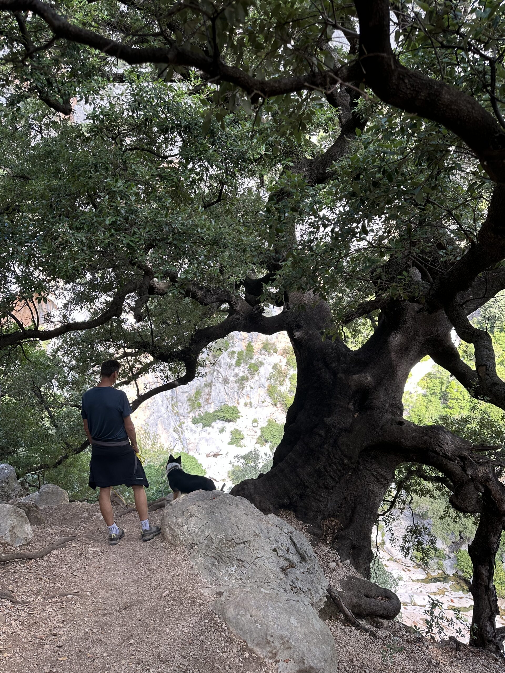 Sur le tapis du vent