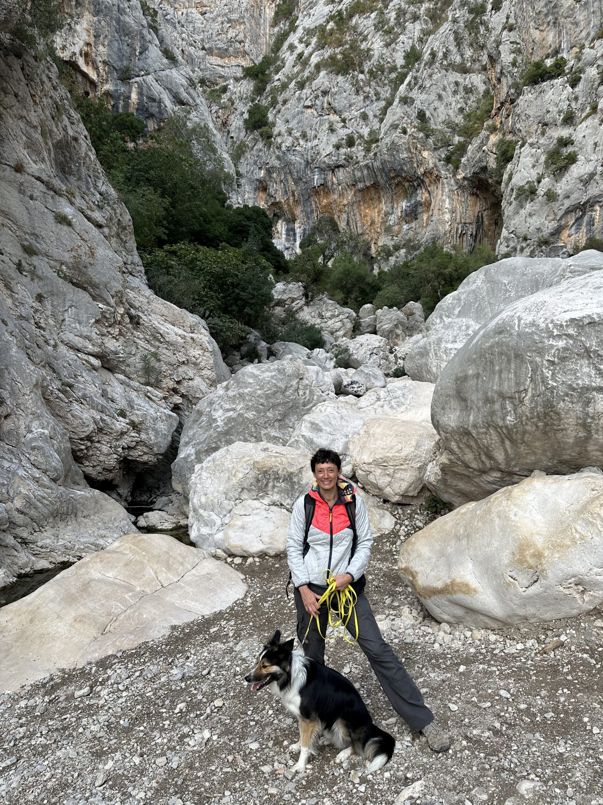 Sur le tapis du vent