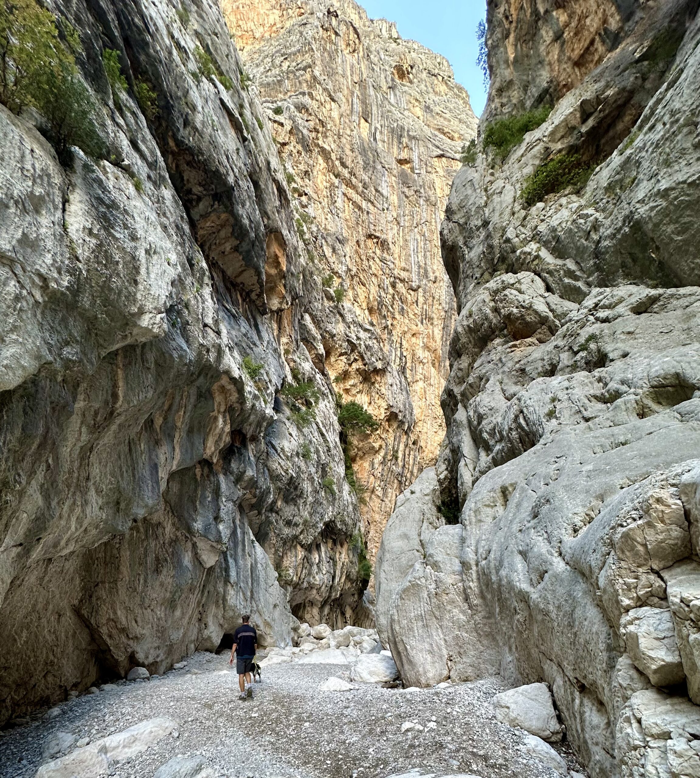 Sur le tapis du vent