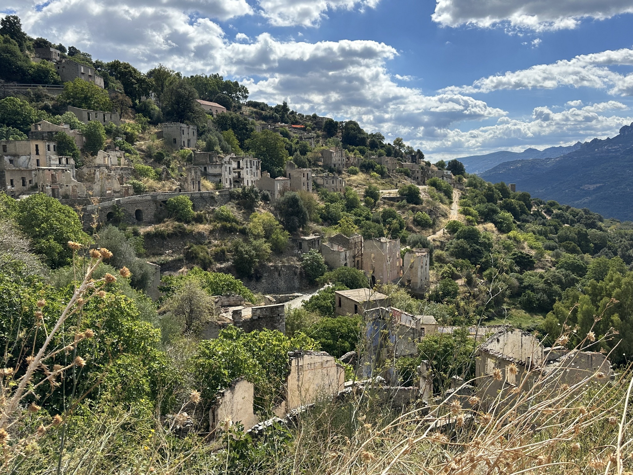 Sur le tapis du vent