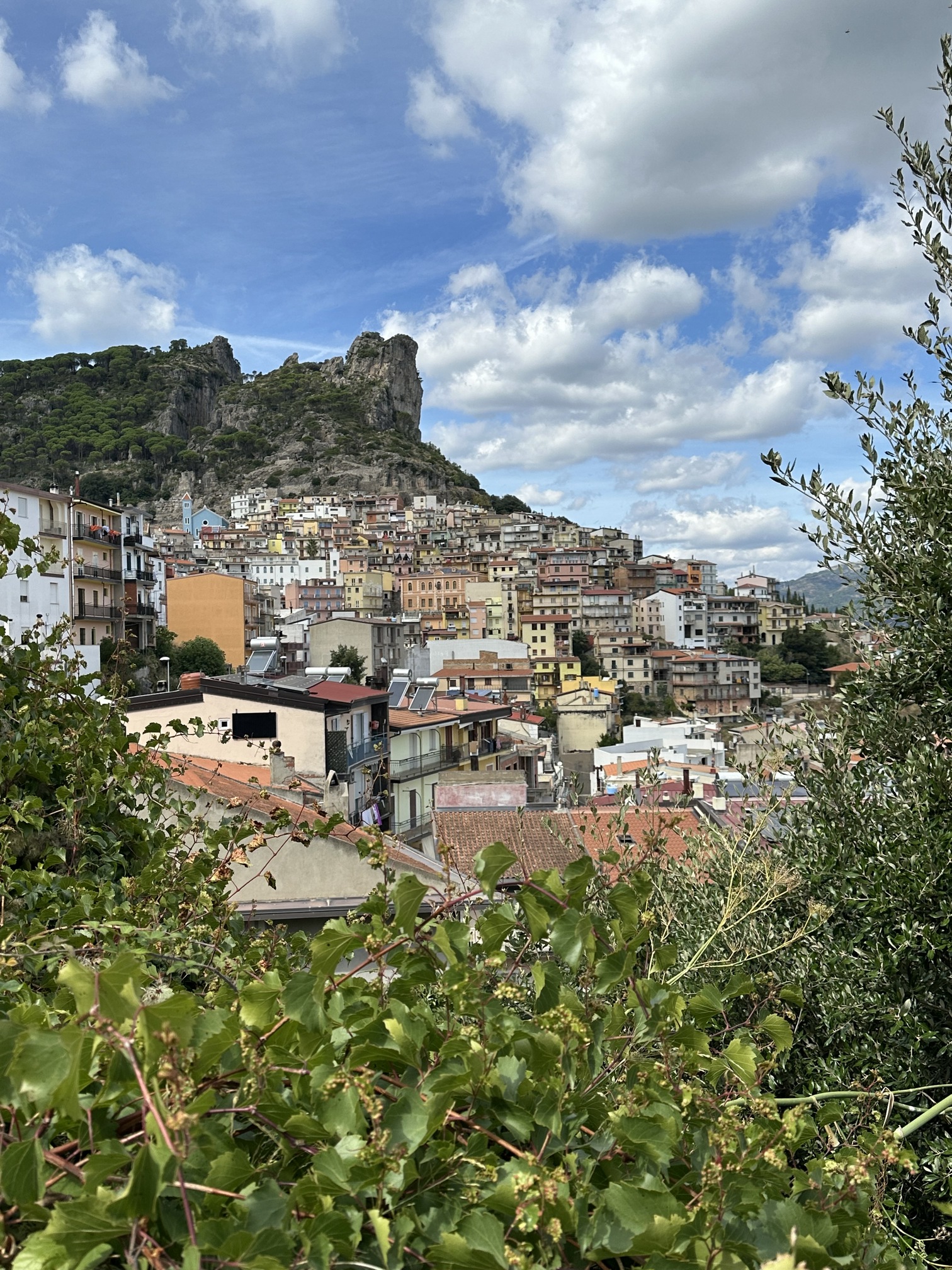 Sur le tapis du vent