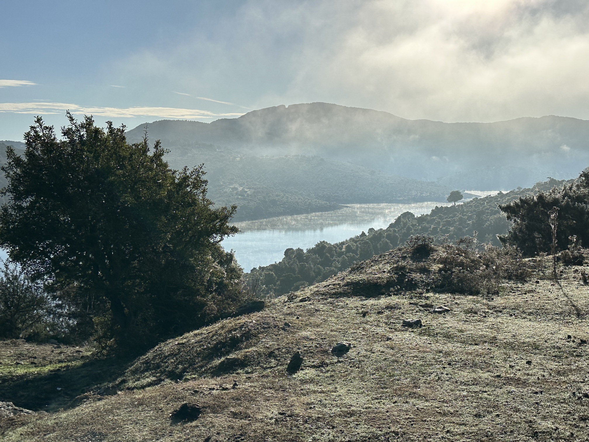 Sur le tapis du vent