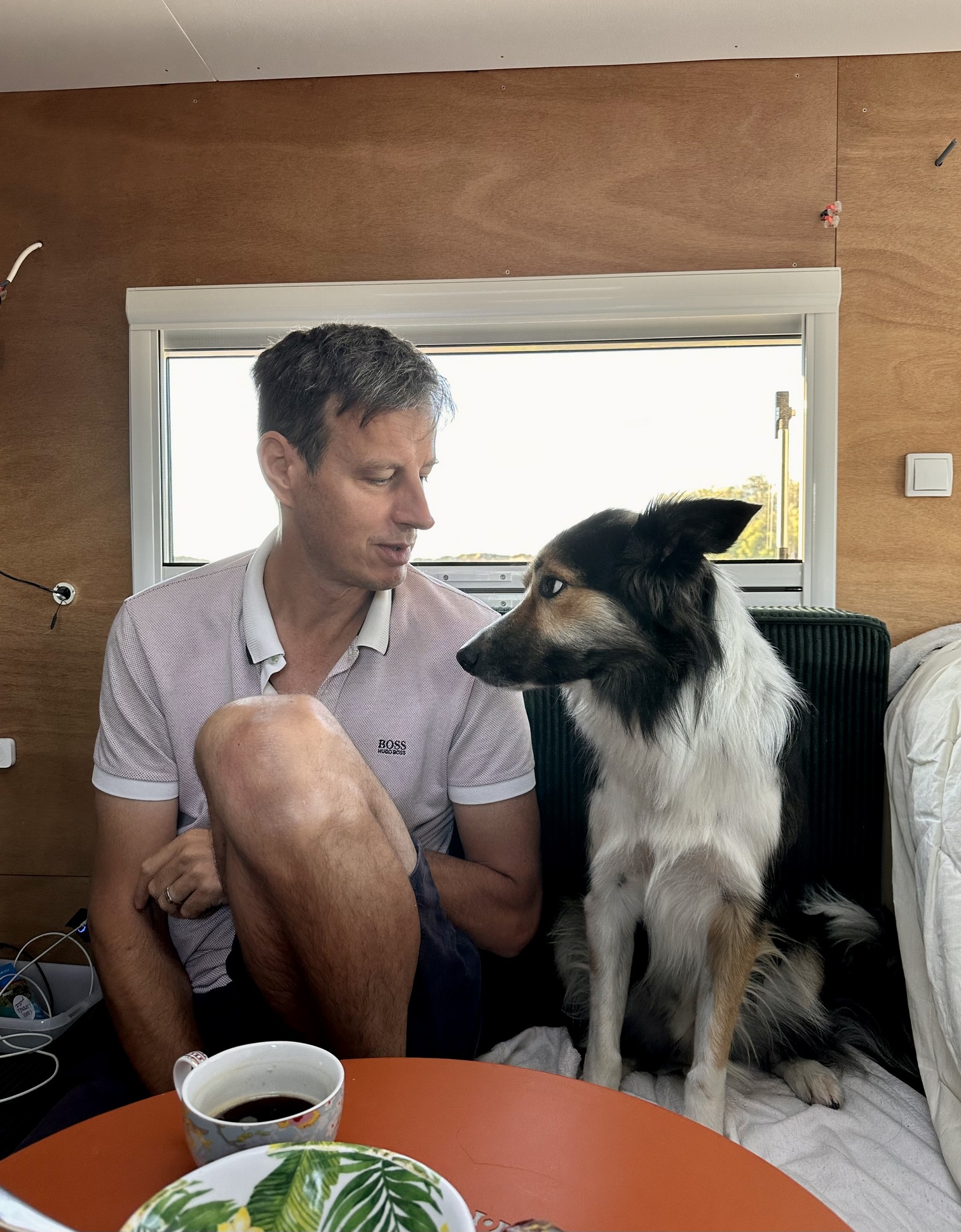 Sur le tapis du vent