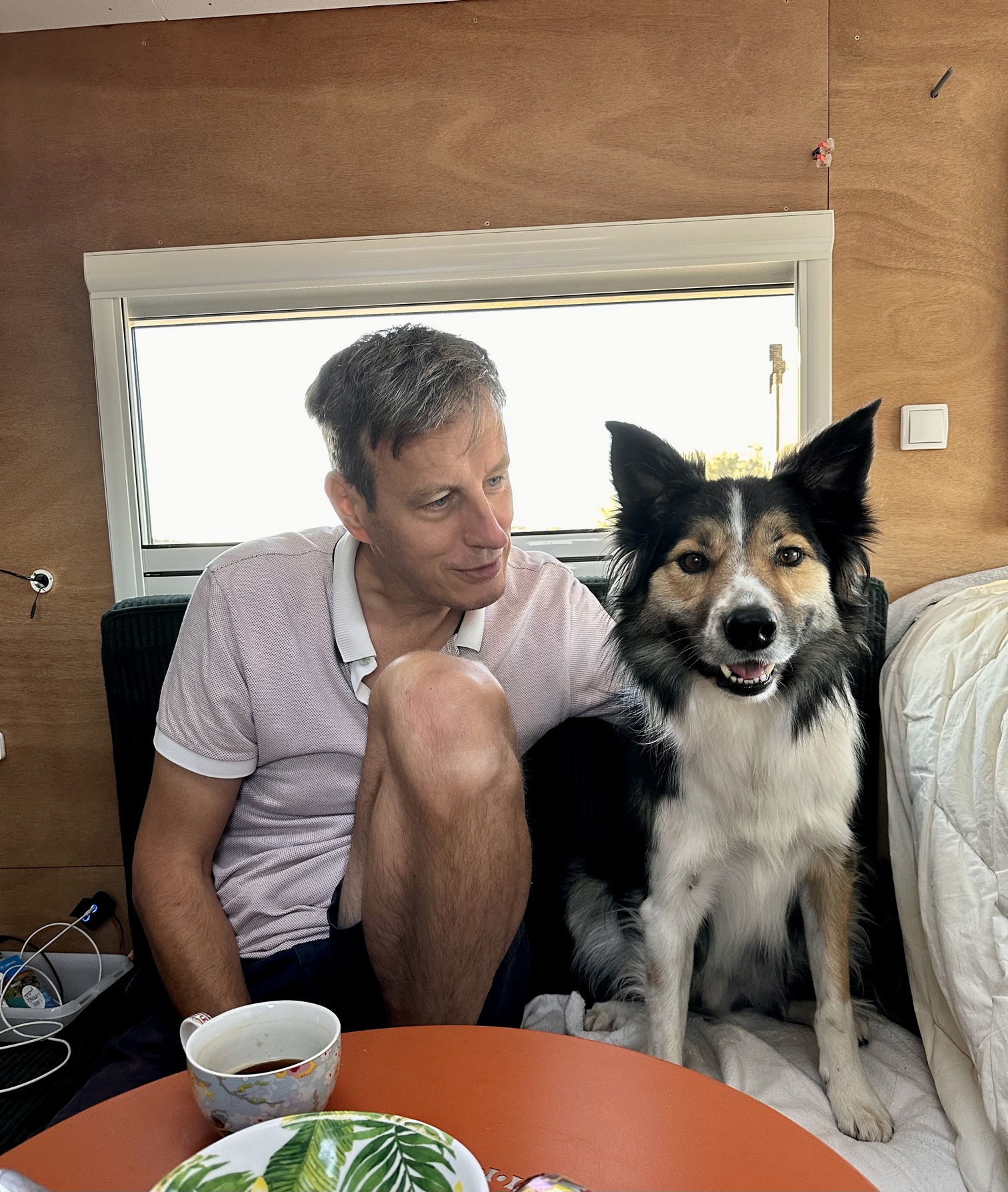 Sur le tapis du vent