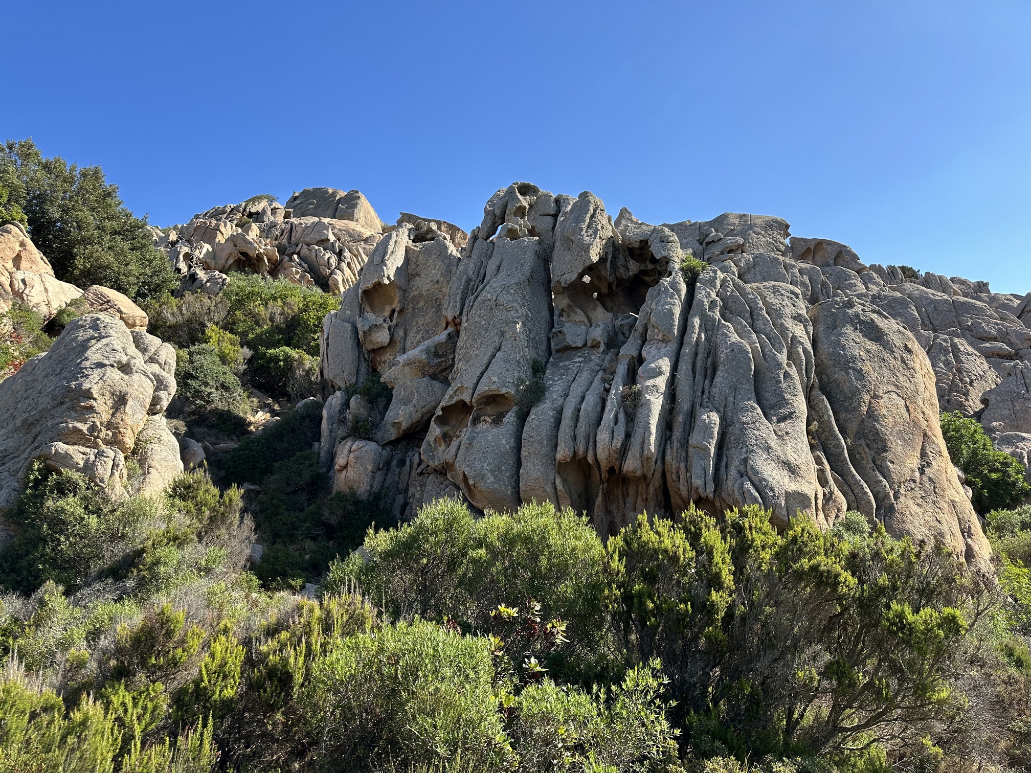 Sur le tapis du vent