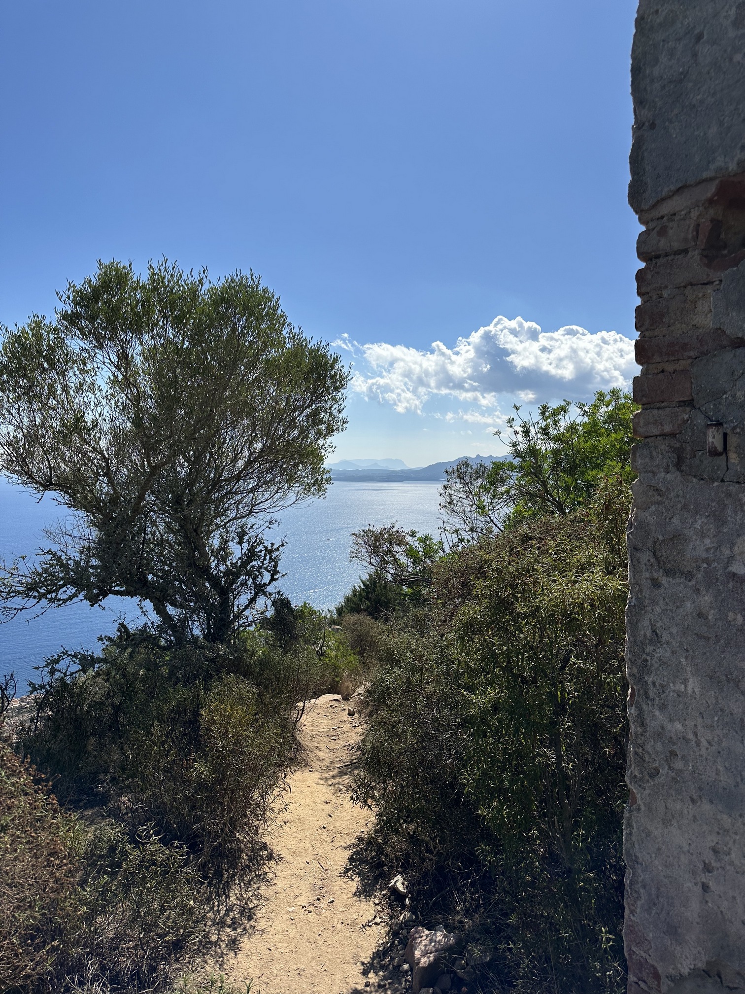 Sur le tapis du vent
