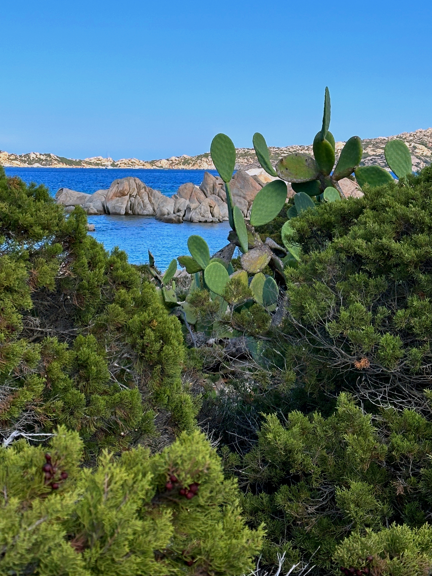 Sur le tapis du vent