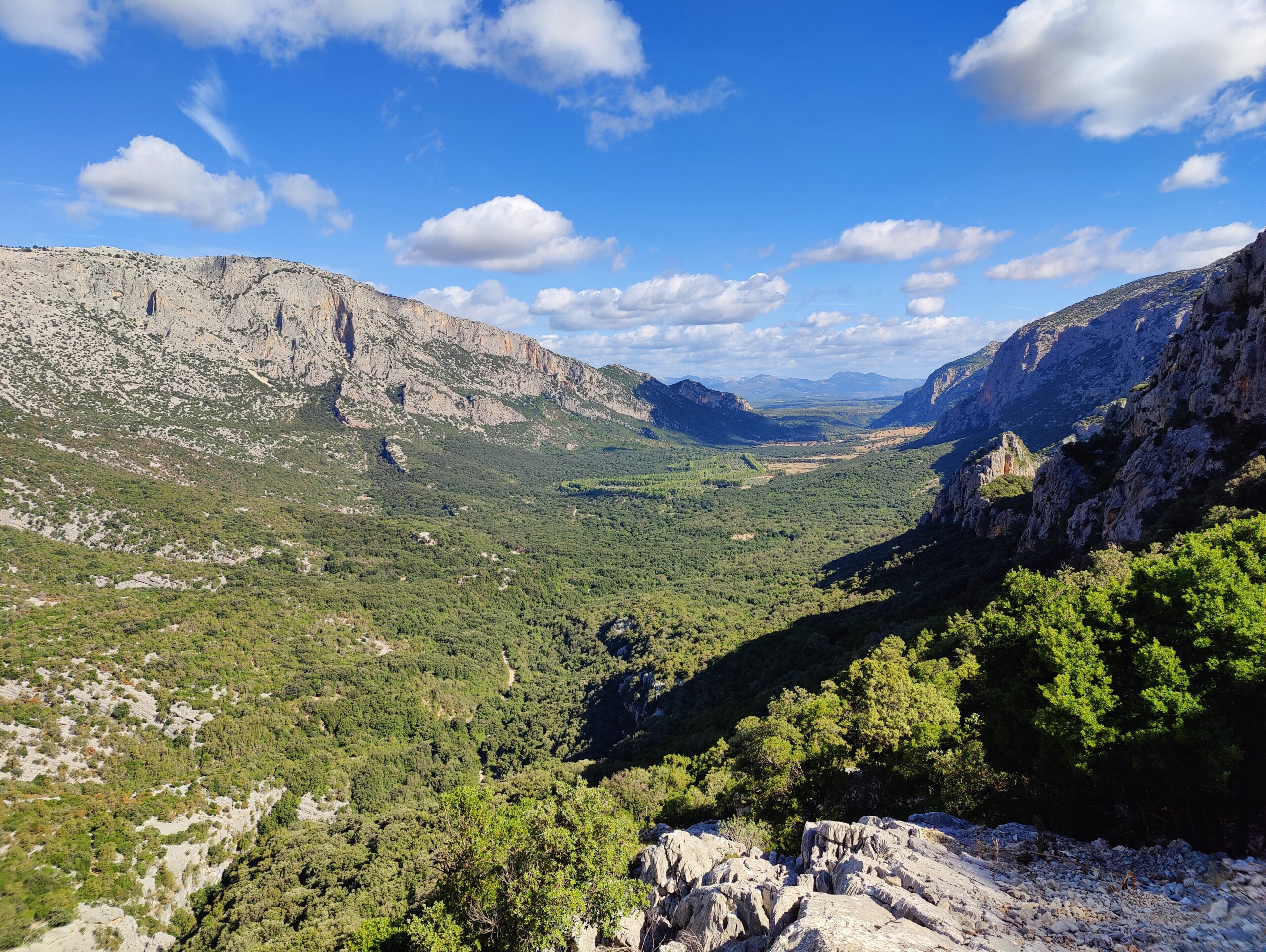 Sur le tapis du vent
