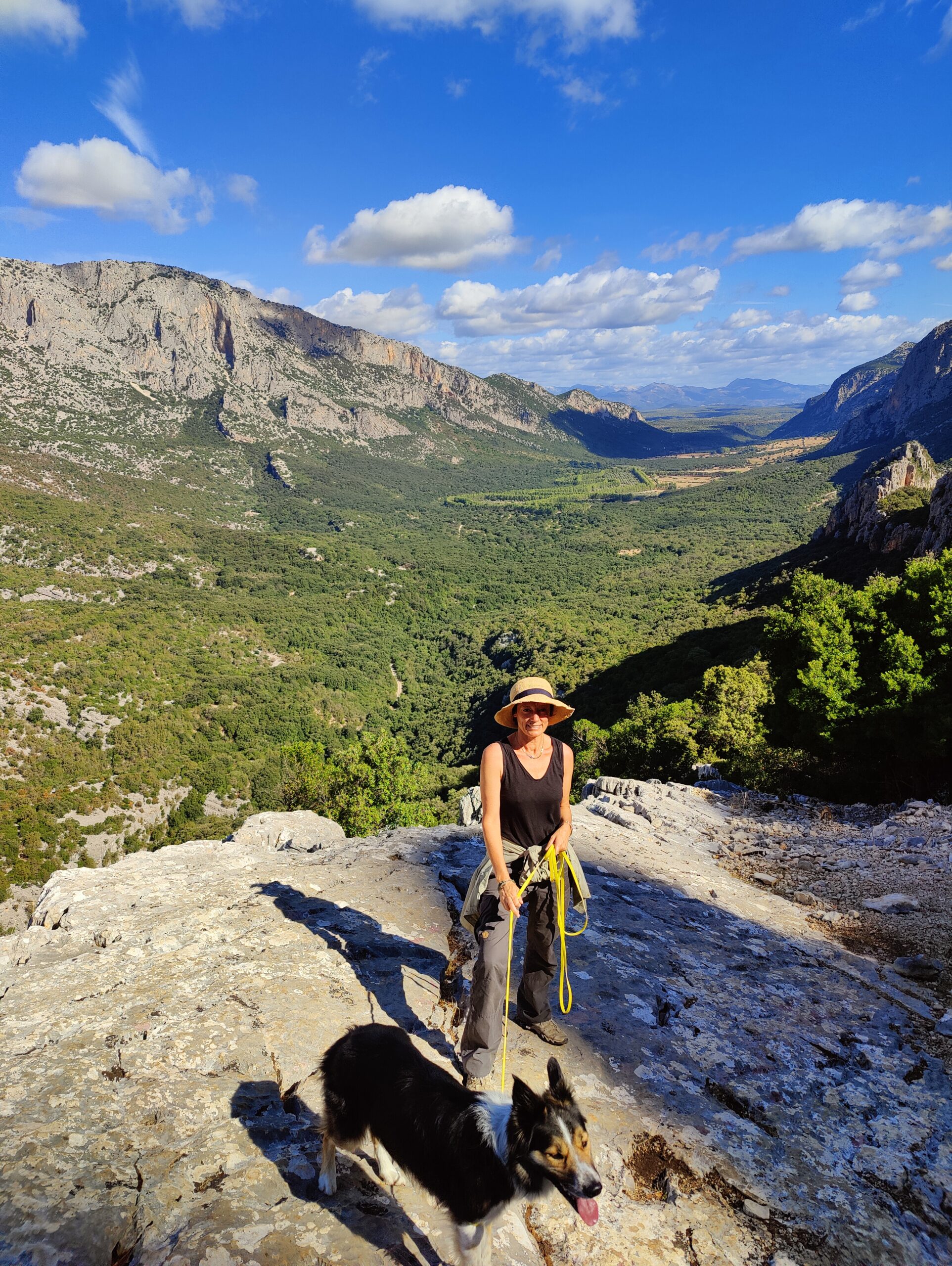 Sur le tapis du vent