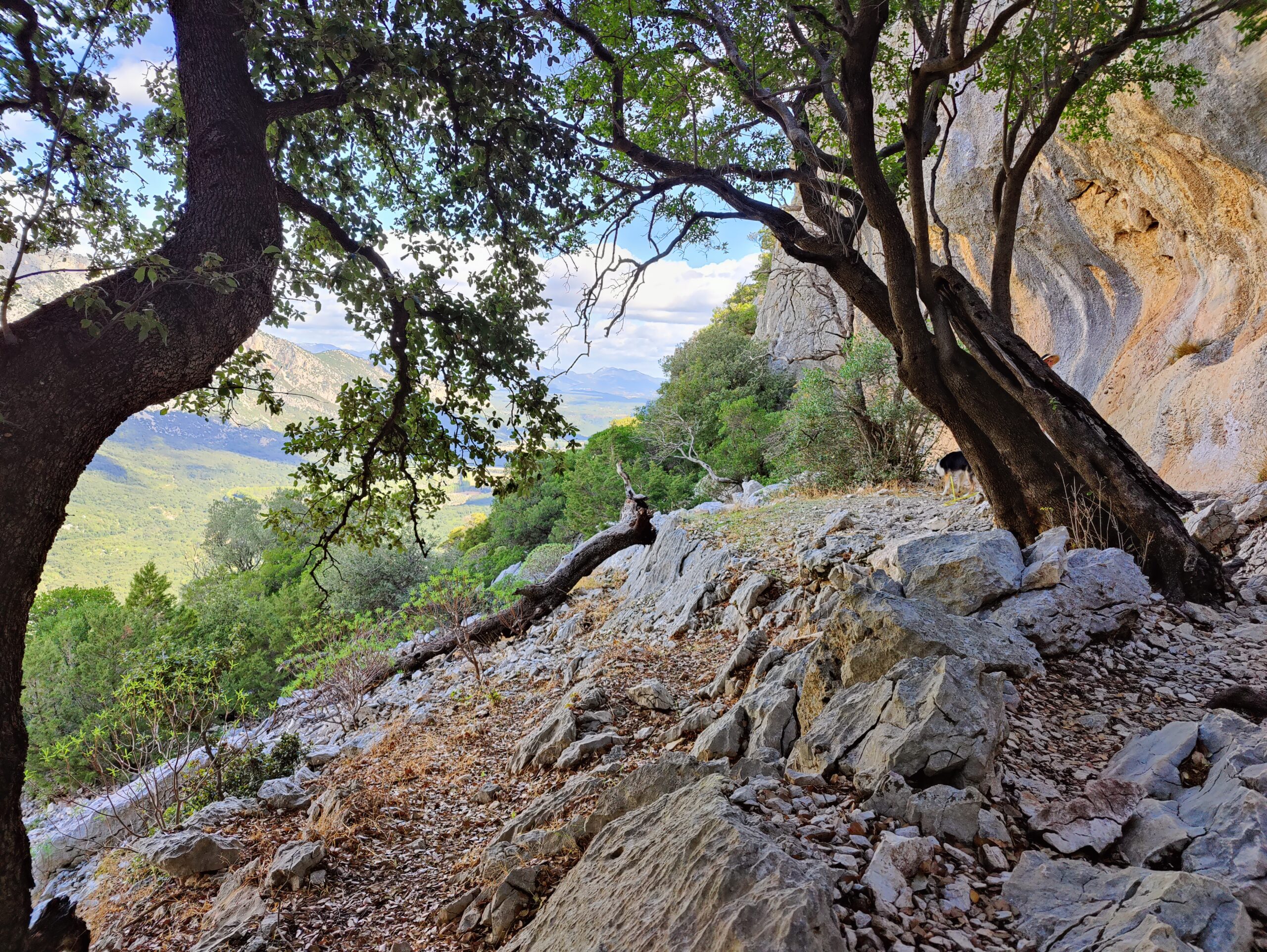 Sur le tapis du vent
