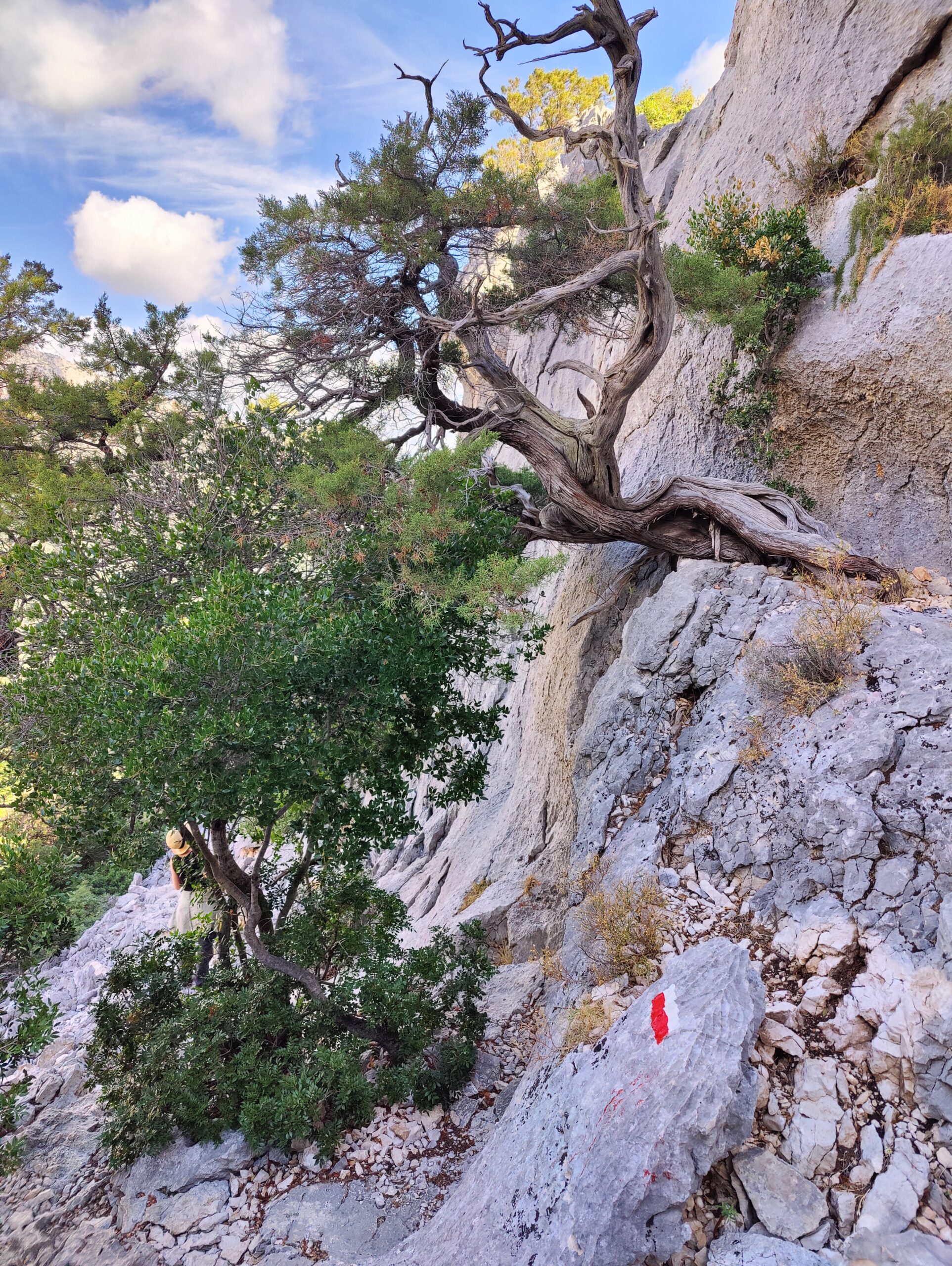 Sur le tapis du vent