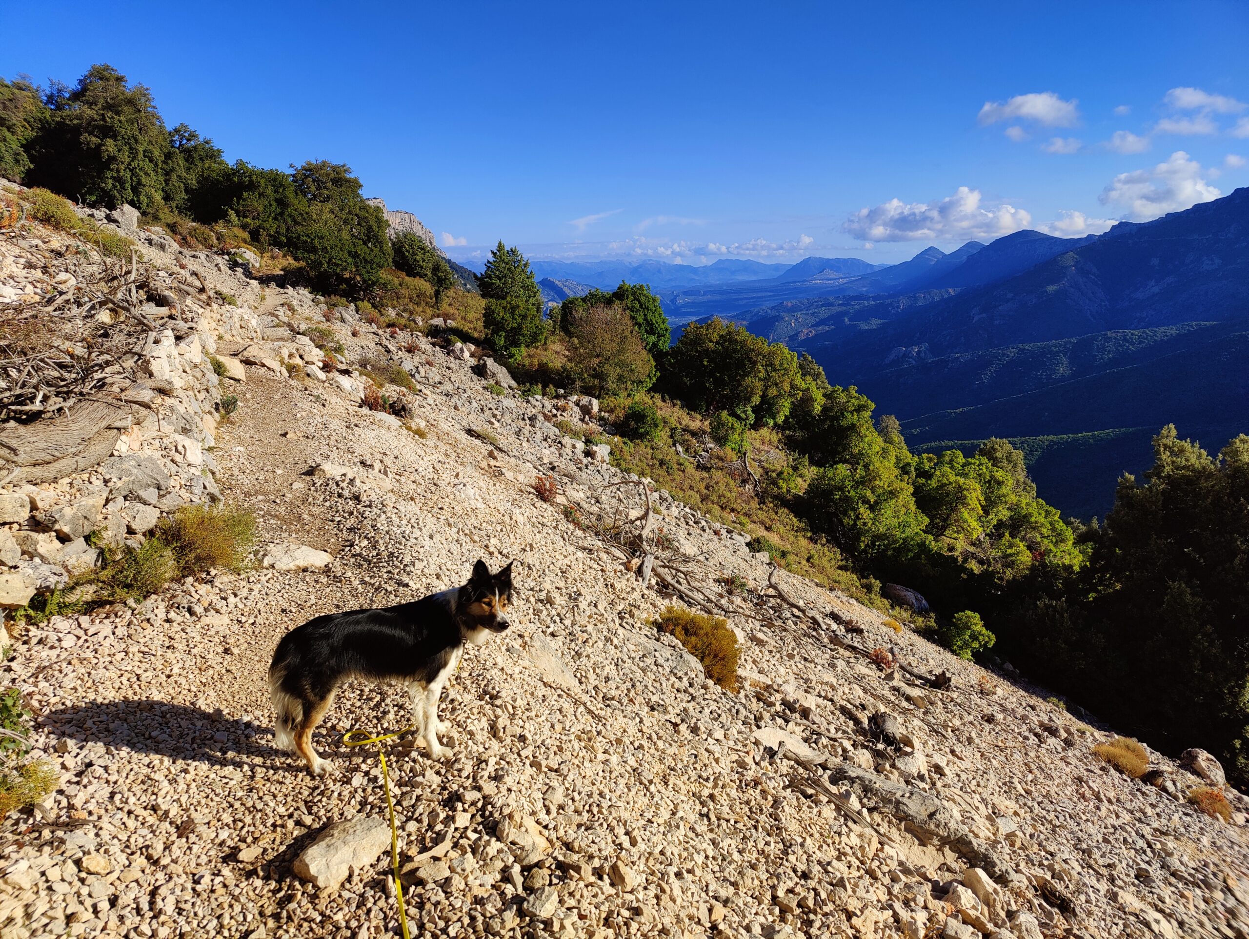 Sur le tapis du vent
