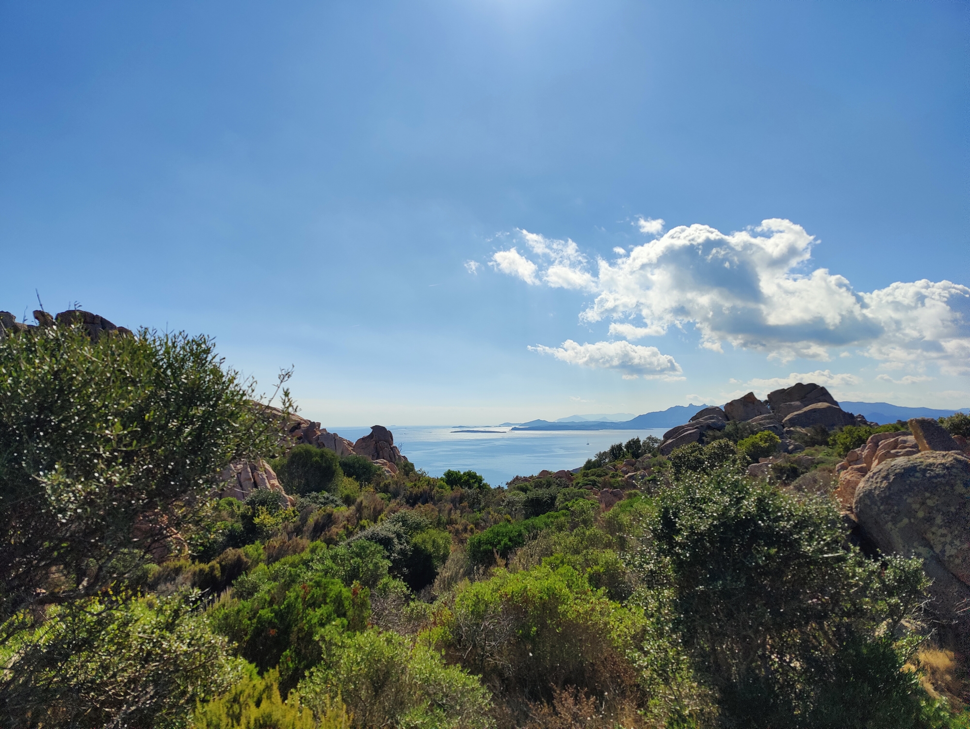 Sur le tapis du vent