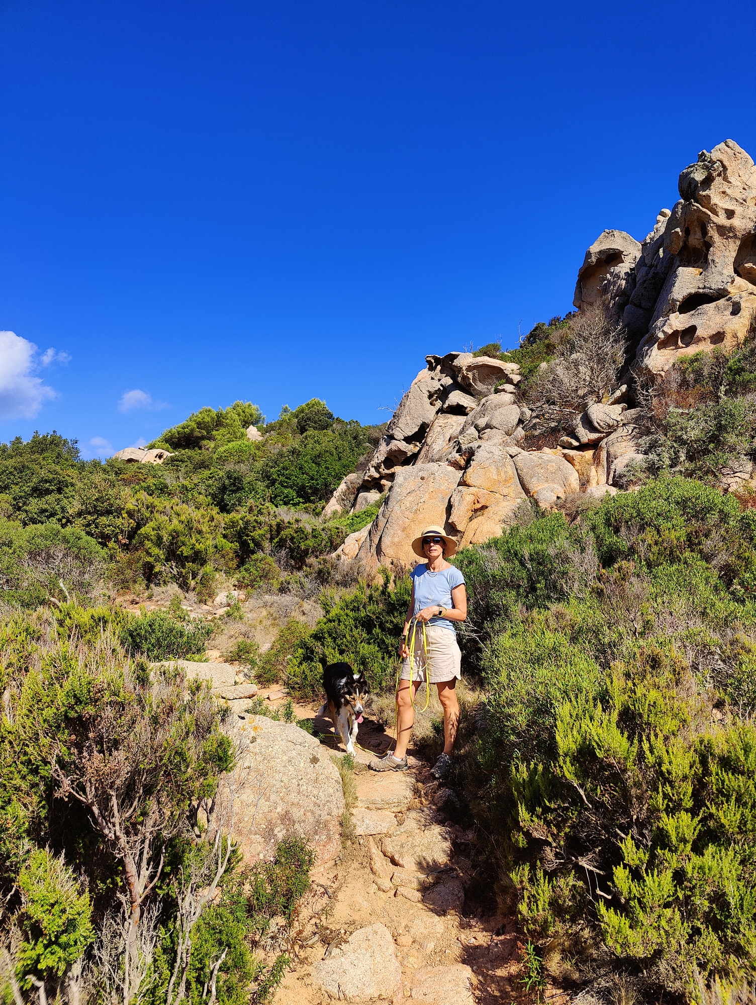 Sur le tapis du vent