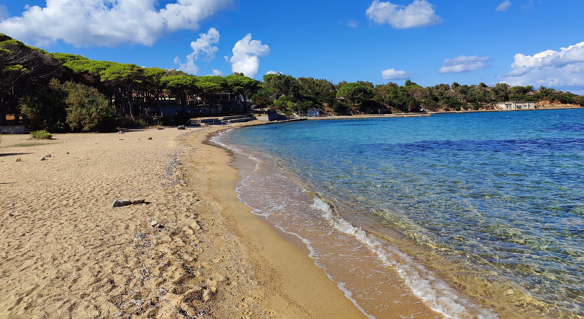 Sur le tapis du vent