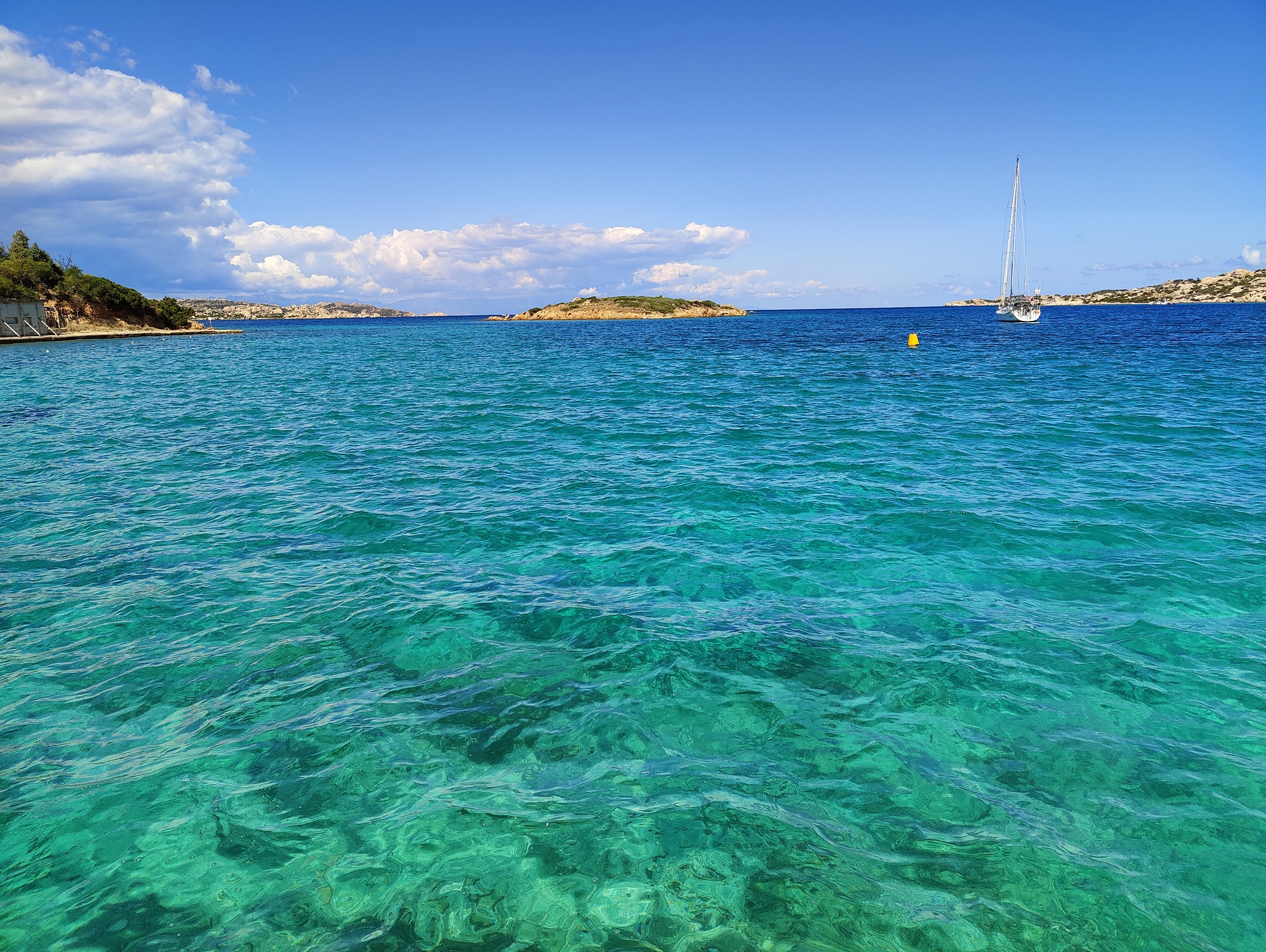 Sur le tapis du vent